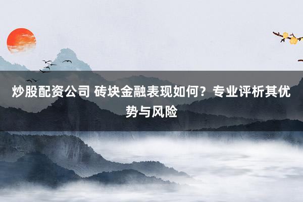 炒股配资公司 砖块金融表现如何？专业评析其优势与风险