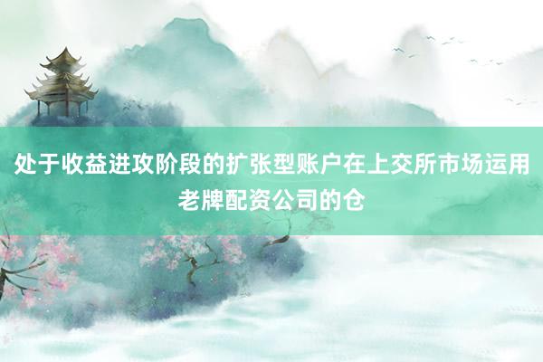 处于收益进攻阶段的扩张型账户在上交所市场运用老牌配资公司的仓