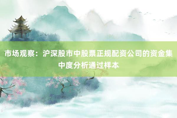市场观察：沪深股市中股票正规配资公司的资金集中度分析通过样本