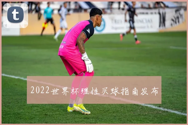 2022世界杯理性买球指南发布